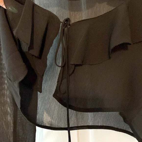 Dynamite Sheer Ruffled Crop Top - Picture 3 of 5